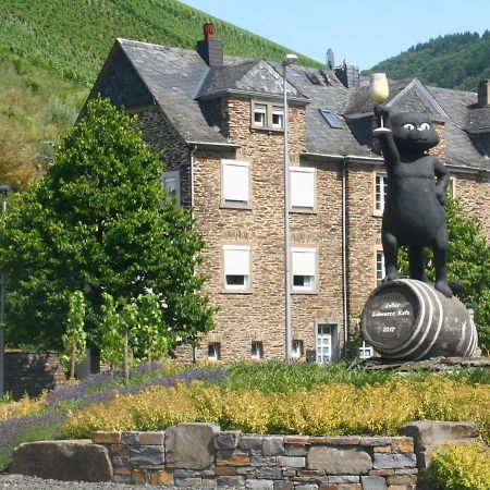 צל אן דר מוזל Mosel Ferienhaus Kleine Merle מראה חיצוני תמונה