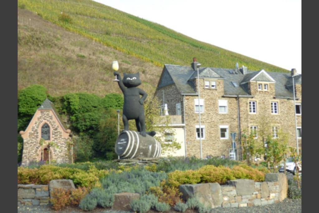 צל אן דר מוזל Mosel Ferienhaus Kleine Merle מראה חיצוני תמונה